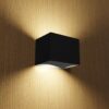 B4_pio-light-oak_3