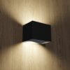 CT35_golden-ebony_3